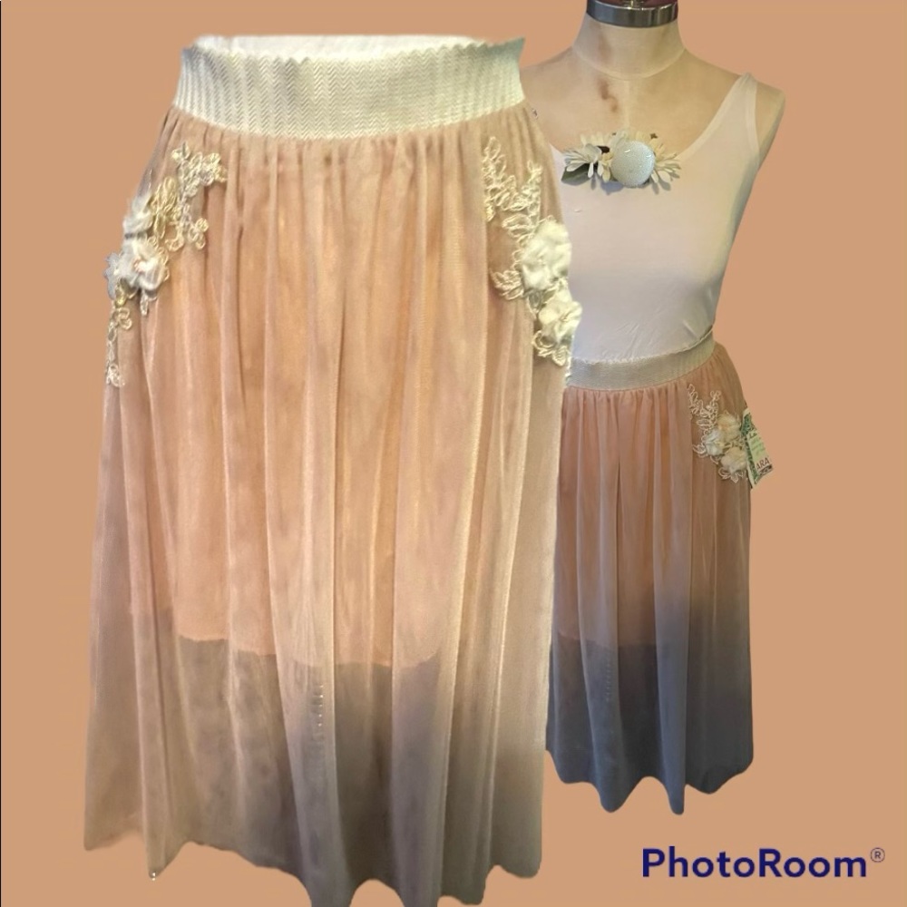 Aratta Tulle Skirt with Floral Applications